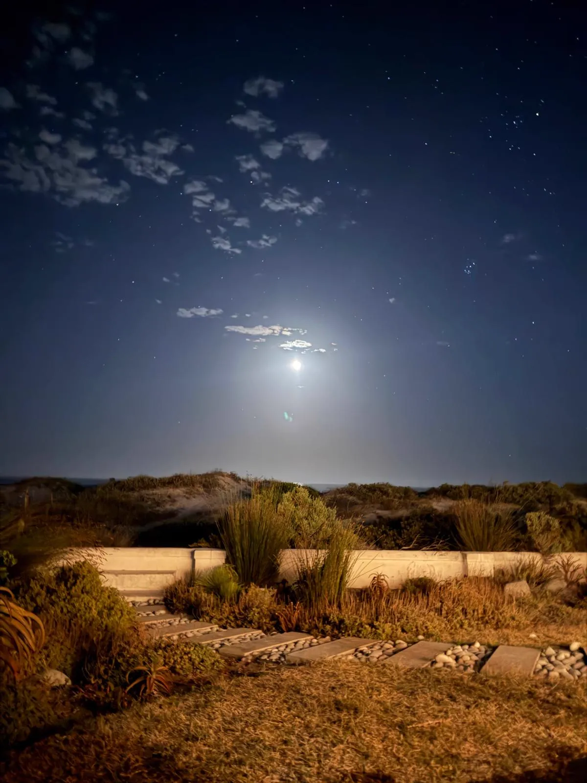 Mondnacht über dem Garten mit Blick auf die Dünen